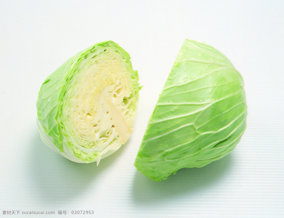 蔬菜免费下载 蔬菜 蔬菜大棚图片 蔬菜大全 蔬菜瓜果大全 蔬菜广告 蔬菜图片 蔬菜的图片 风景 生活 旅游餐饮