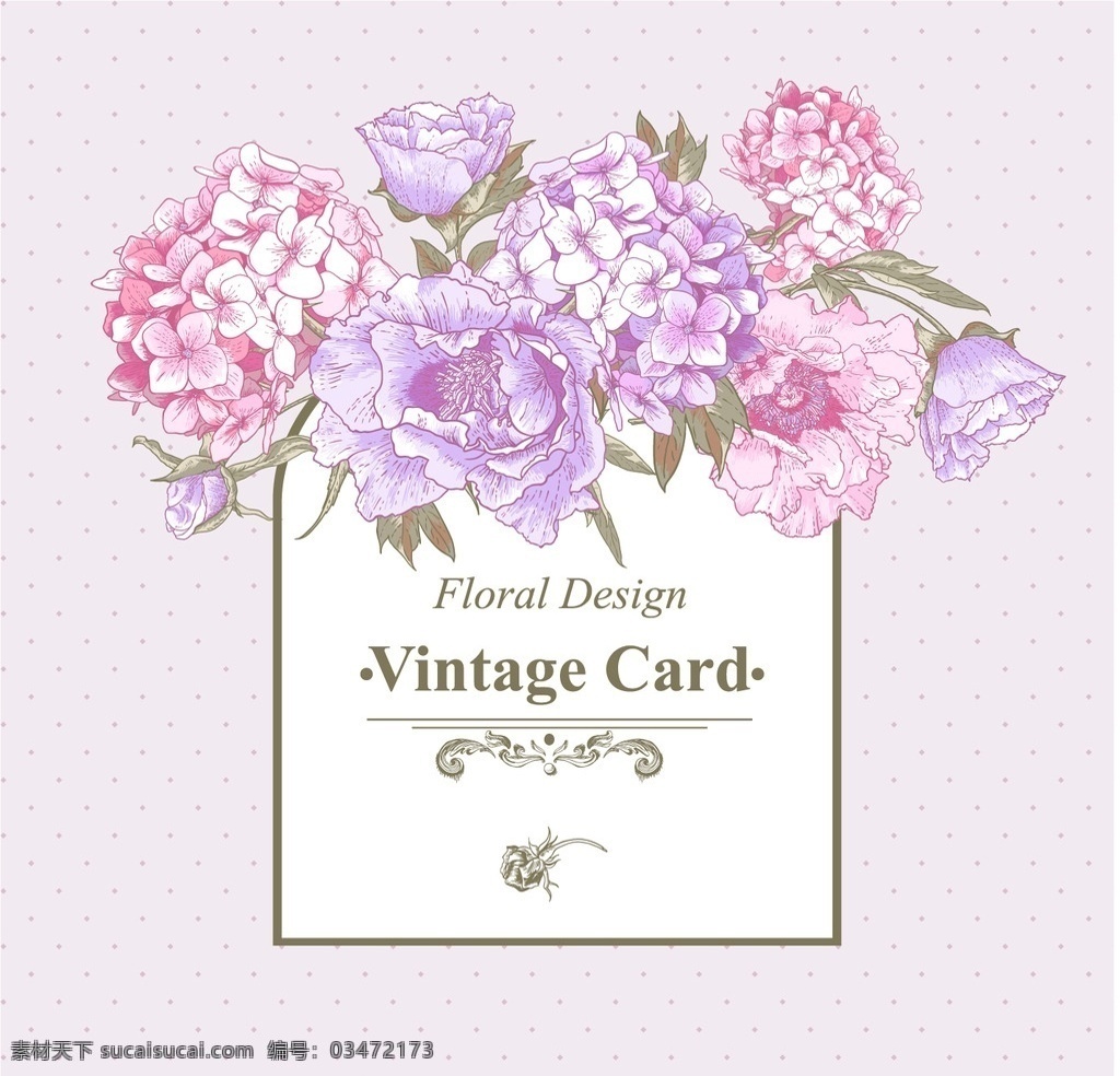 牡丹 手绘 花卉 文本框 鲜花插图 手绘花朵 矢是 生物世界 花草