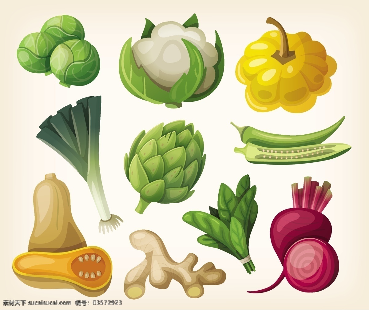 矢量蔬菜 卡通蔬菜 包菜 花菜 窝瓜 大葱 南瓜 萝卜 生姜 菠菜 餐饮美食 生物世界 蔬菜