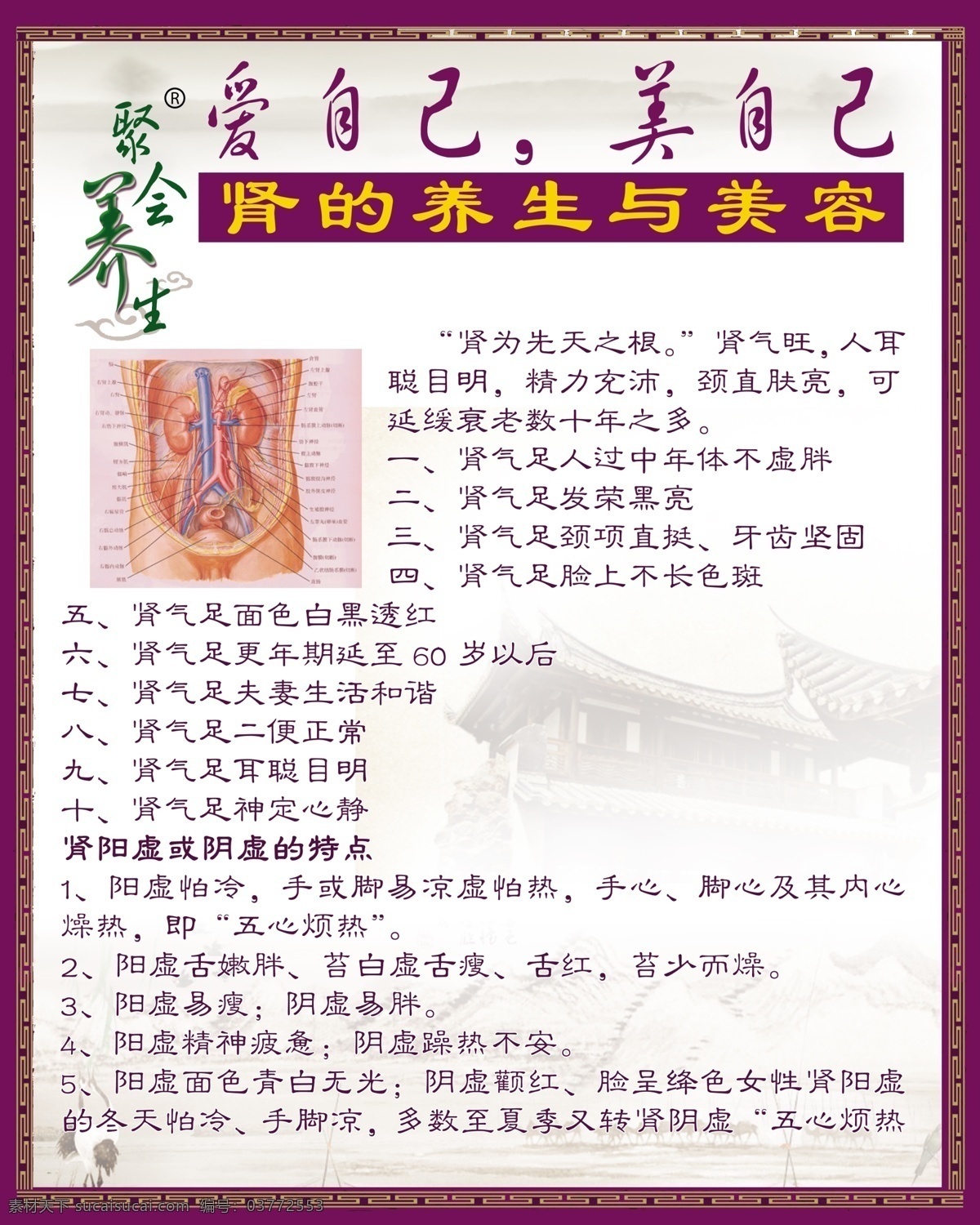 中医养生 肾部养生图 爱自己 美容 海报 kt版 广告 紫色