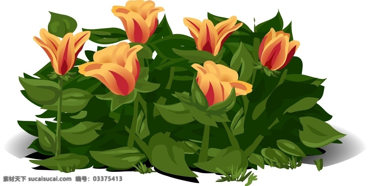 郁金香 鲜花 植物 黄色 红色 花瓣 橙色 水华 花 绿化 叶子 叶菜 矢量素材 生物世界 花草