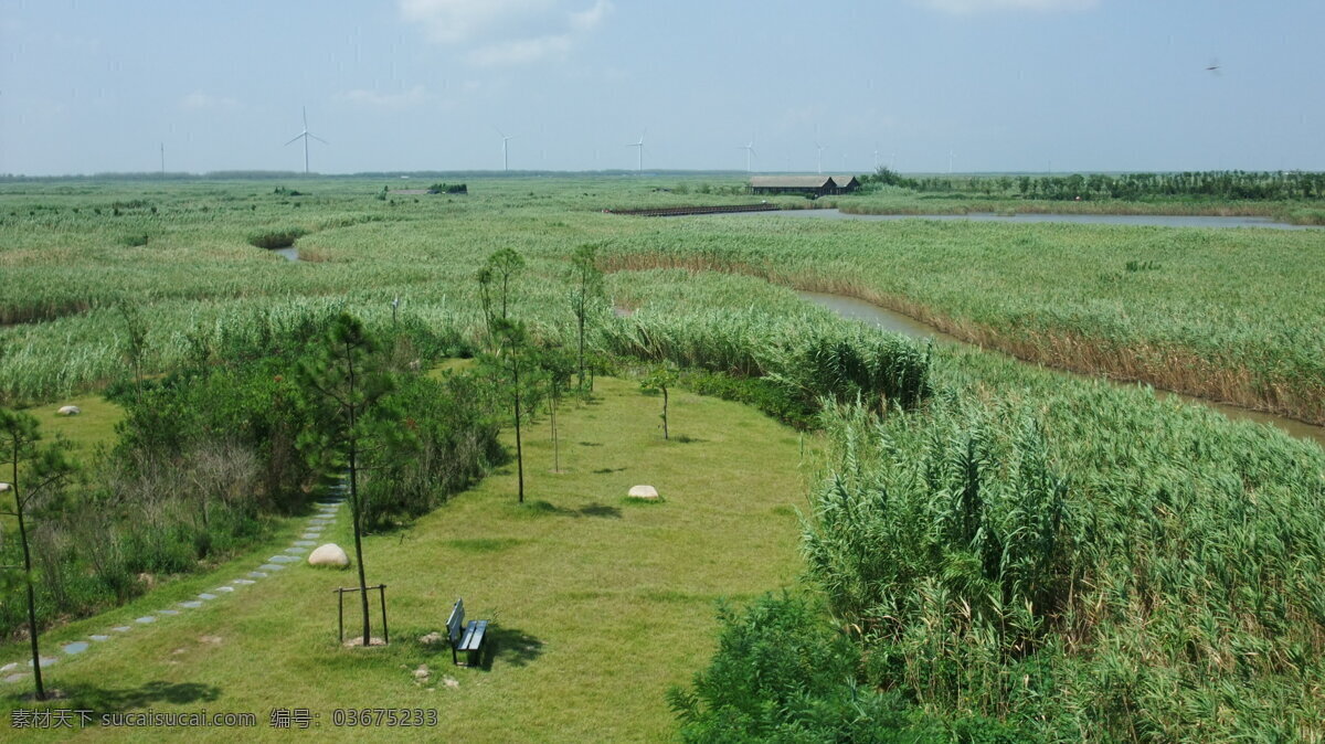 上海 崇明 东滩 湿地 照片 公园 草地 环保 生态 灌木 水生植物 建筑 河流 生态河 风力发电 水面 云彩 大场景 白天 景观 参考 自然风景 自然景观