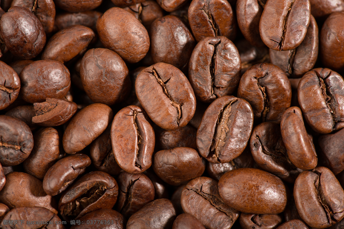 咖啡 果 背景 底纹 咖啡豆背景 咖啡豆 咖啡原料 咖啡果 食材原料 餐饮美食 咖啡图片