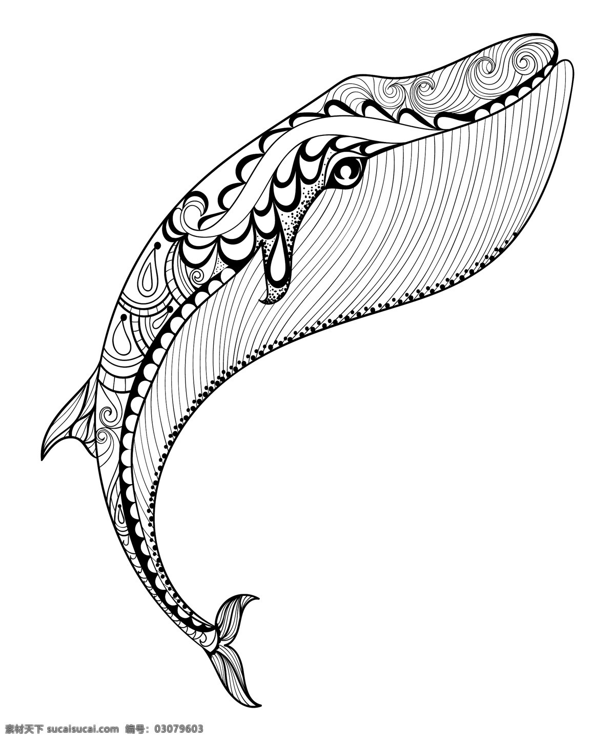 黑白 艺术 卡通 海豚 插画 海洋 动物 生物