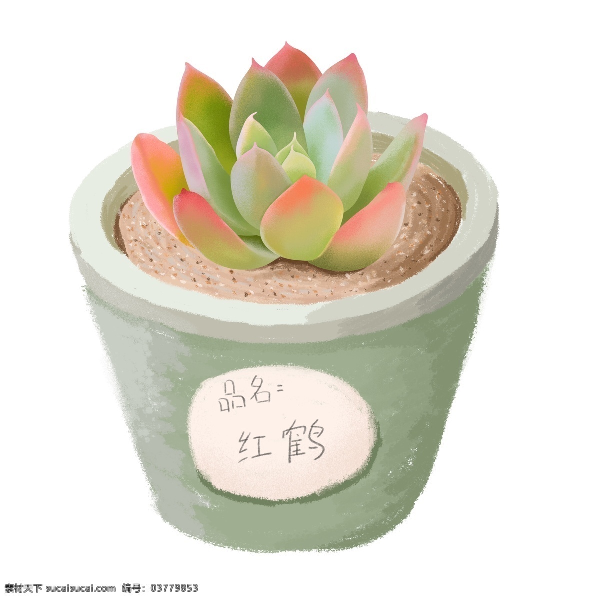 手绘 噪 点 小 清新 盆栽 肉 植物 元素 插画 手绘植物 手绘多肉 多肉元素 植物元素 多肉盆栽 手绘盆栽