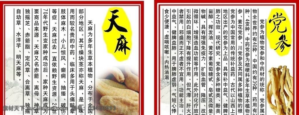 天麻海报 天麻 党参 红色 古典 药材