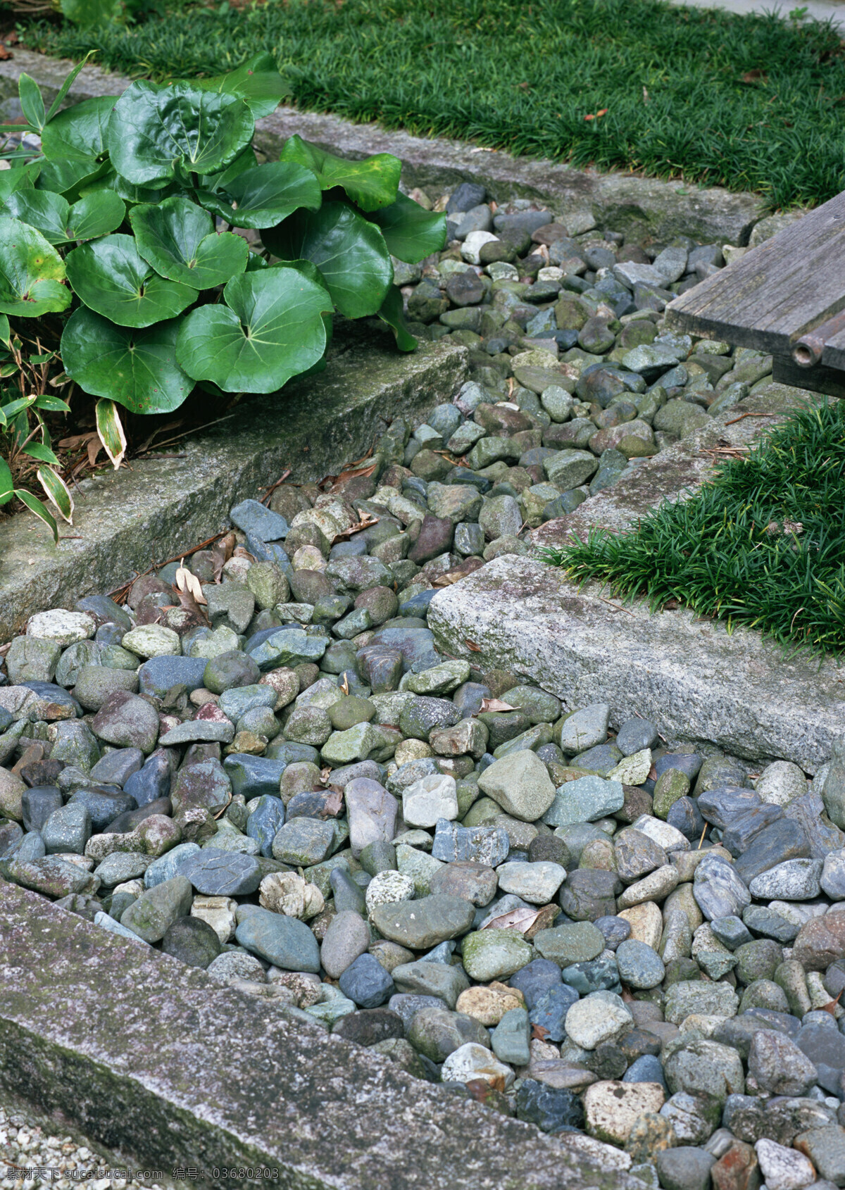 日本 京 岛 风情 高清 禅意 风景图片 绿叶 日式 石头 石子 唯美 文化艺术
