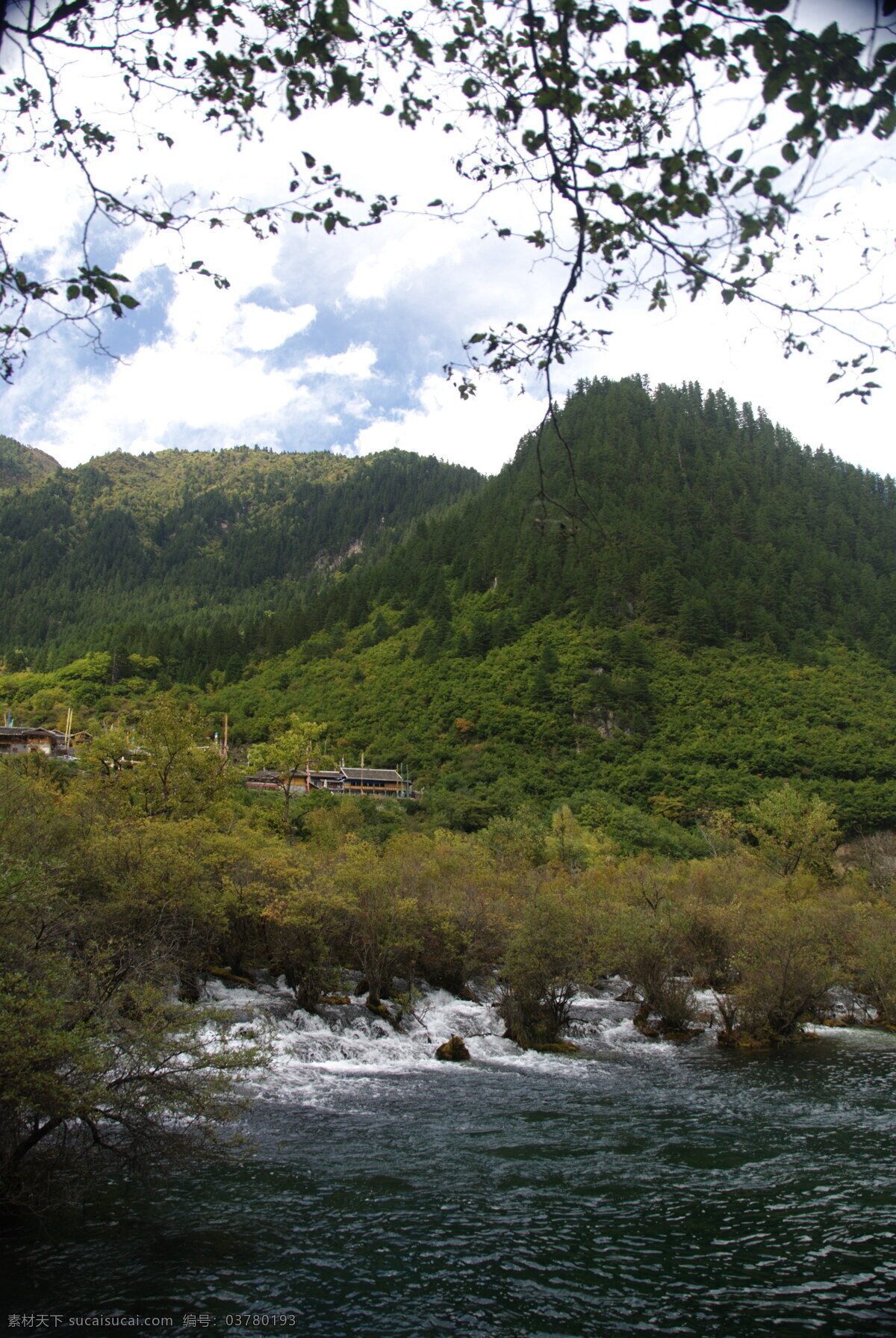 激流 九寨沟 树正群海 水面 绿树 流水 绿山 山水风景 自然景观