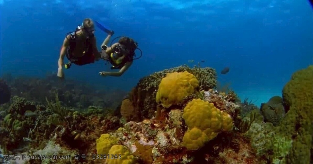 水肺潜水 跳水 运动 水 海 海洋 度假 假期 清除 新鲜 天堂 休闲 活动 乐趣 视频摄影 多媒体 实拍视频 生活行为 mp4