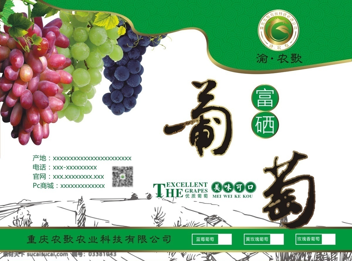 葡萄 葡萄包装 乡村葡萄 水果 包装 白色