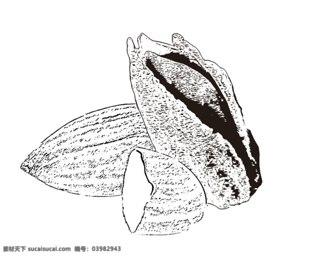 巴旦木 巴旦木矢量图 巴旦木白描图 坚果类 巴旦木组合 生活百科 餐饮美食