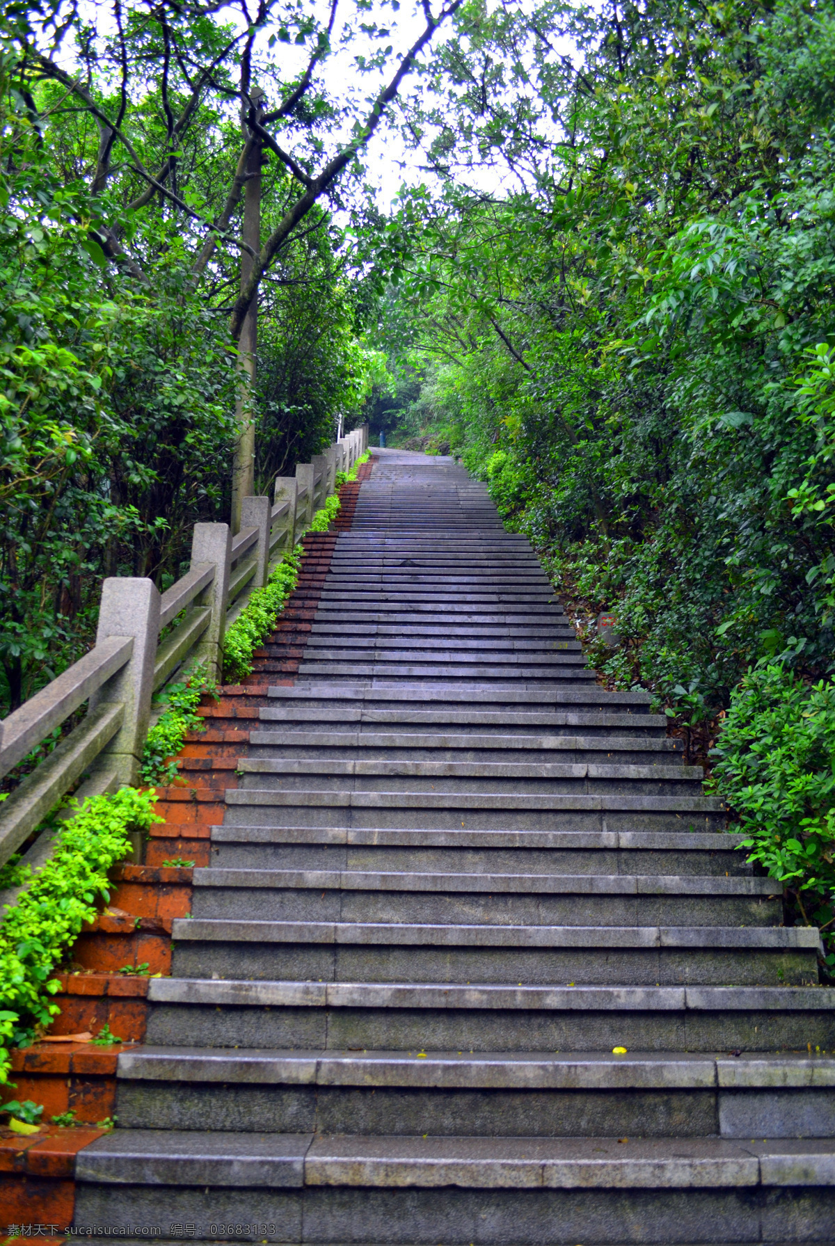阶梯 春天 栏杆 绿树 色彩 山顶 台阶 阳光 自然风景 自然景观 psd源文件