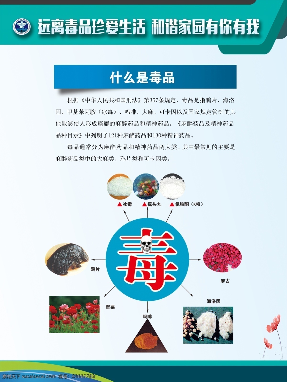 禁毒展板 简洁 大方 校园 禁毒 宣传 展板 毒品 预防 教育 毒 禁毒标语 禁毒海报 禁毒宣传 禁毒学校 禁毒宣传栏 禁毒主题 毒品知识 禁毒日 国际禁毒日 禁毒科普 禁毒文化墙 禁毒斗争 禁毒校园 禁毒设计 禁毒标志 戒毒 公益广告 禁毒创意 禁毒宣传标语 禁毒日宣传 国家禁毒