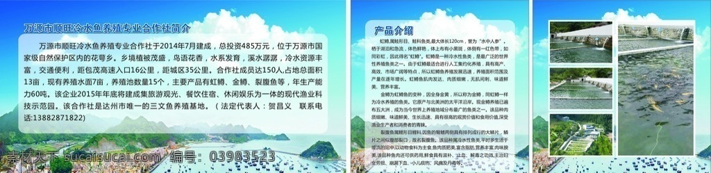 顺旺 冷水鱼 养殖 专业 合作社 鱼