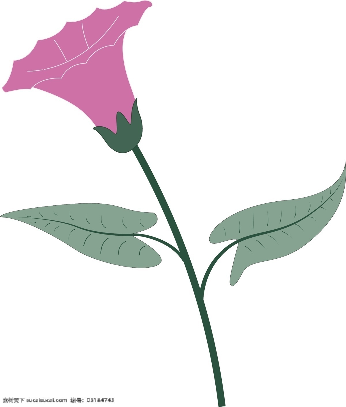 粉 百合花 矢量 粉百合花矢量 矢量图 其他矢量图