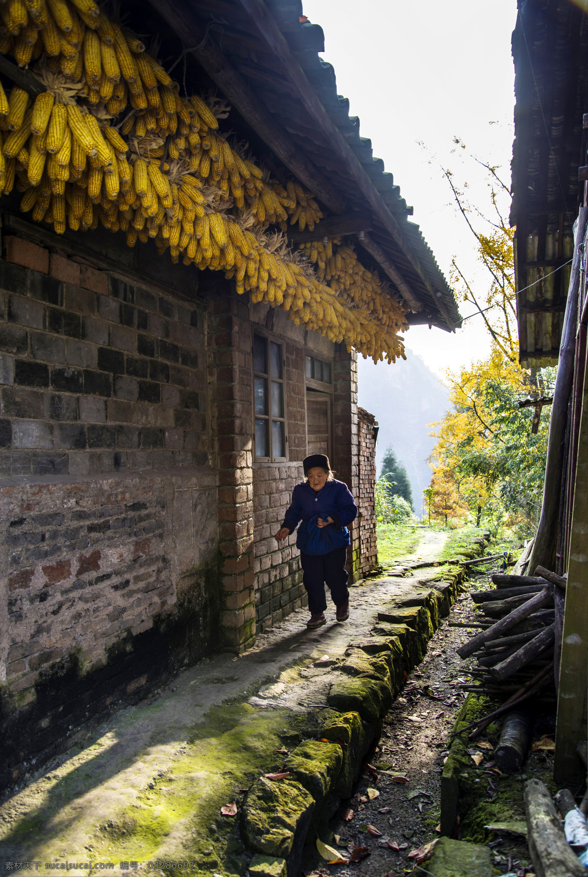 崇州 文井江 小丹巴 大坪 风景 田园 稻田 田园风景 日出 日落 天空 云朵 田野 秋天田园 乡村风光 乡村风景 自然山水 山水 山林 老人 民居 山村 玉米 实景照片 自然景观 山水风景