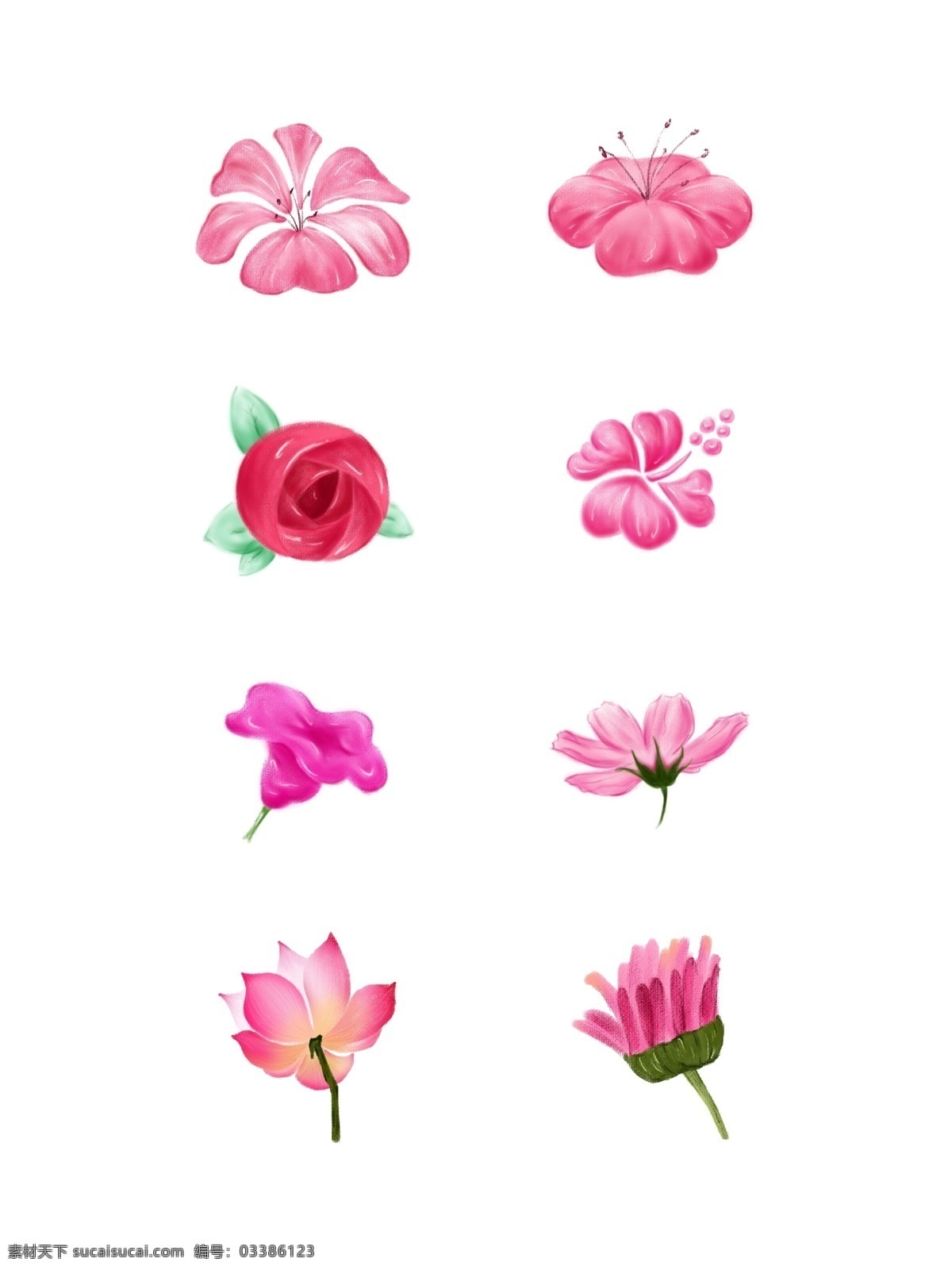 手绘 粉色 花瓣 套 图 桃花 玫瑰 荷花 太阳花 花朵 喇叭花 格桑花