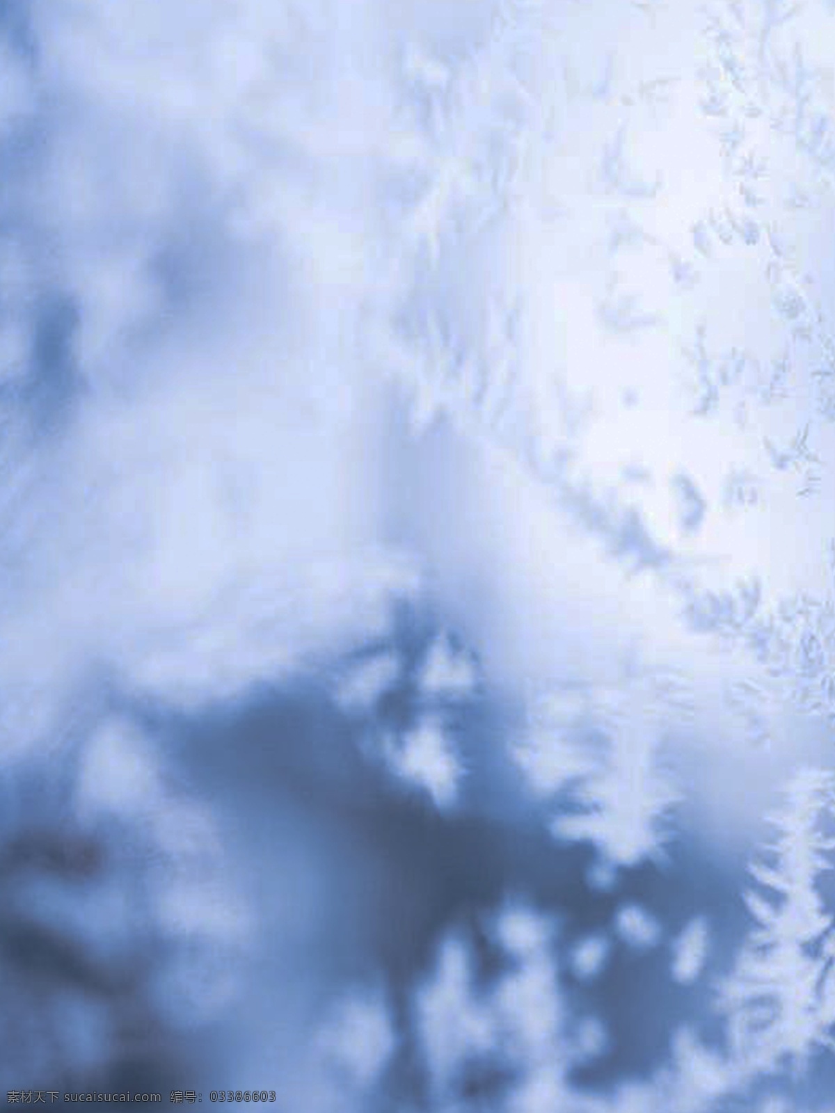 二十四节气 冬至 背景 冬天 冬季 树枝 雪景 雪花 冬月你好 中国传统节气 雪地