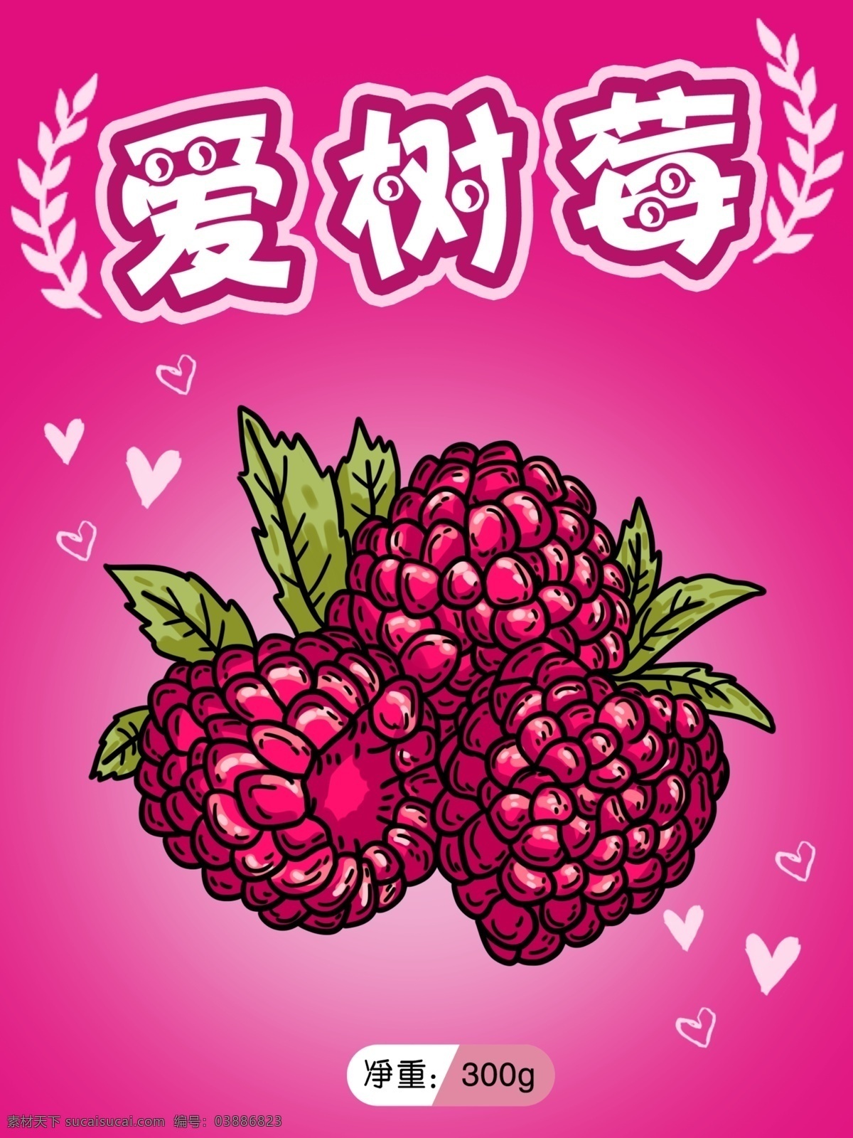 食品包装 零食 水果 干 树莓 插画 食品 水果干