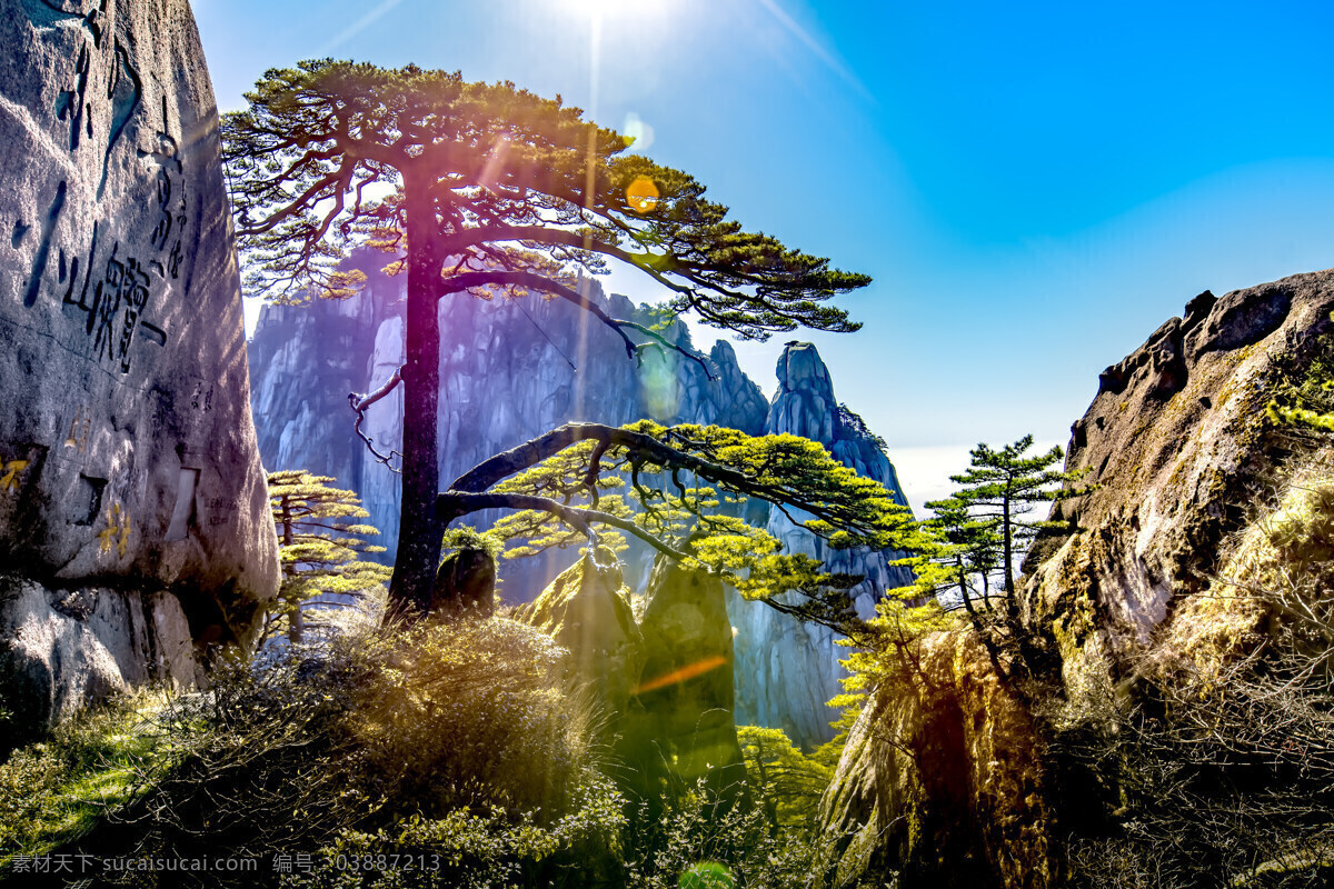 安徽 黄山 迎客松 风景 旅游 自然 山峰 高清大图 自然景观 风景名胜