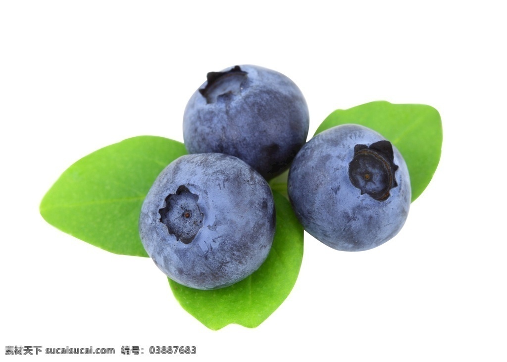 浆果 小果子 小浆果 新鲜水果 绿色水果 有机水果 新鲜蓝莓