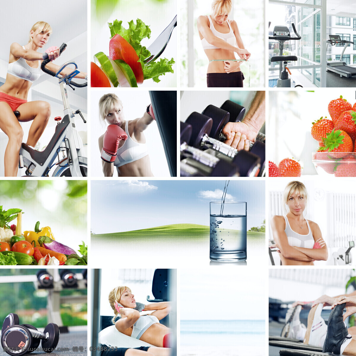 健身 美女 水杯 水果 哑铃 跑步机 健身房 健身器材 外国 人物 运动 体育运动 美容健身 生活百科