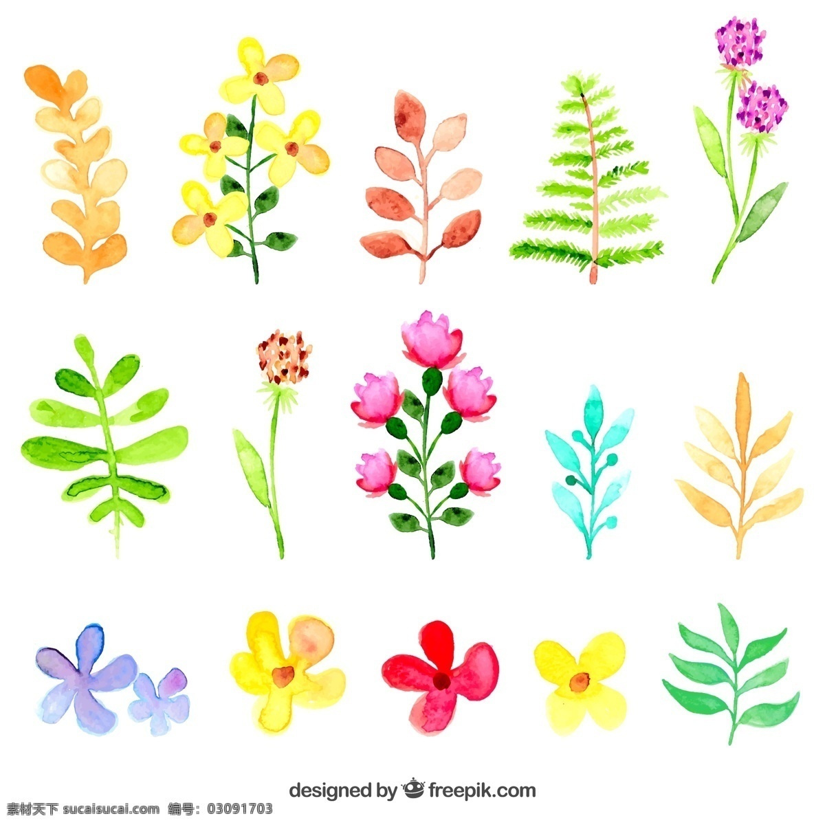 水彩花和叶 水彩 鲜花 油漆 春天 树叶 植物 油墨 图标 高清 源文件