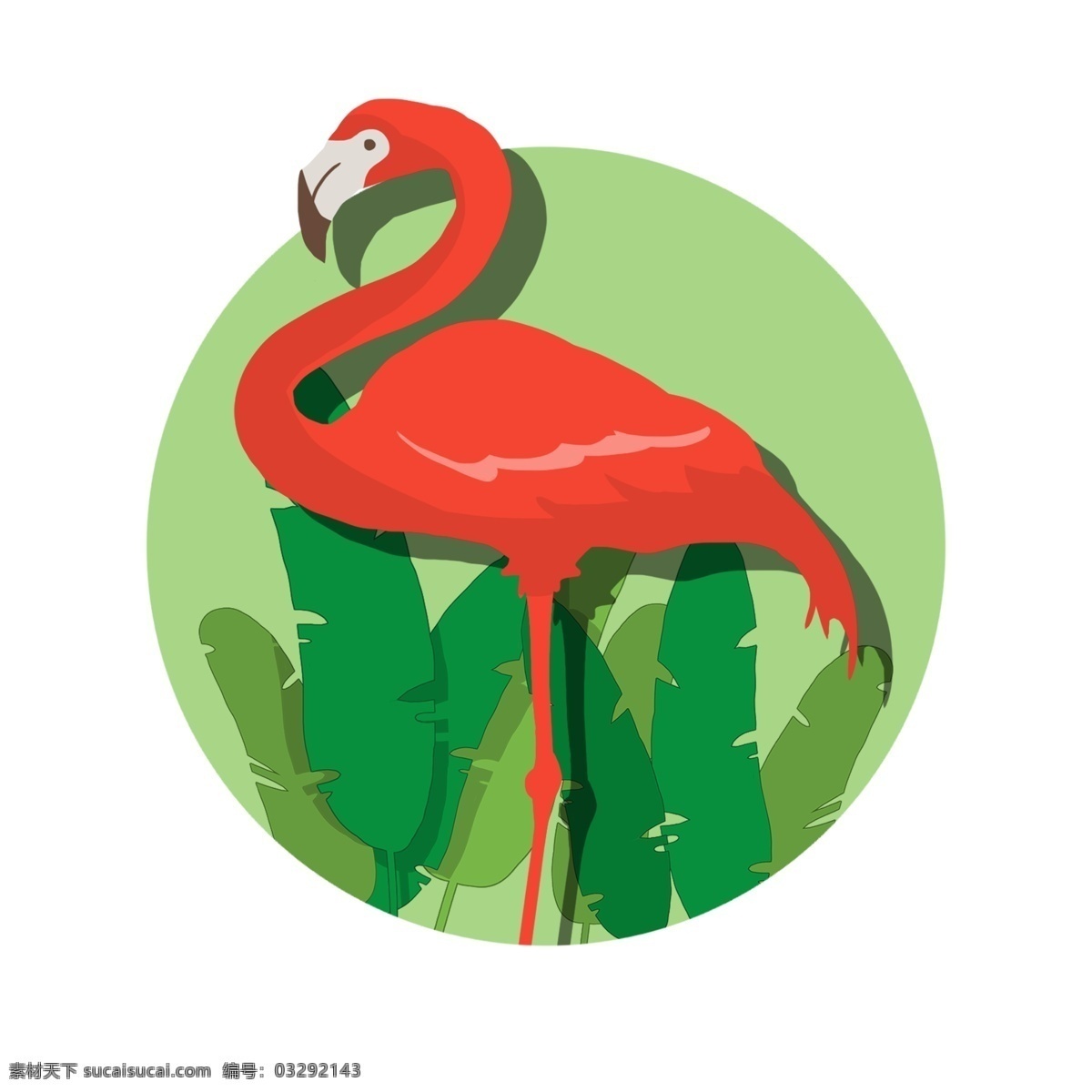 红色火烈鸟 绿色 红色 动物