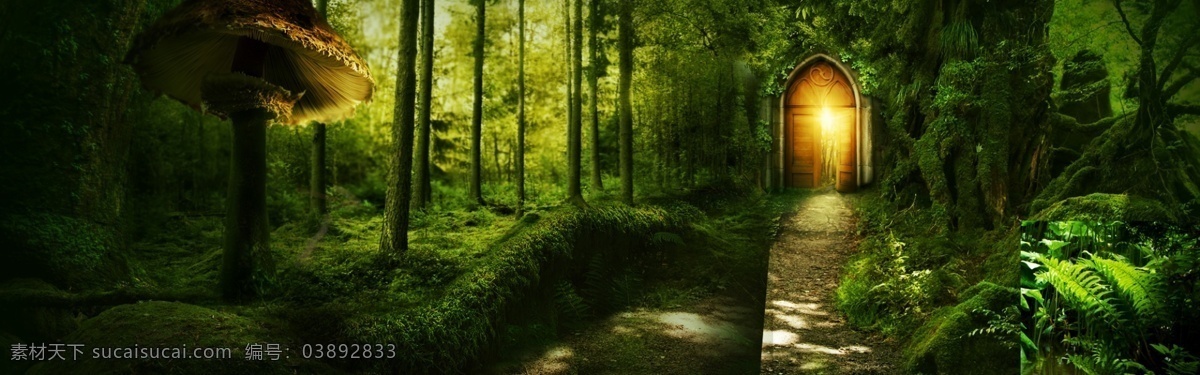 梦幻 森林 背景 绿色 海报 展板 户外 元素 形象 墙