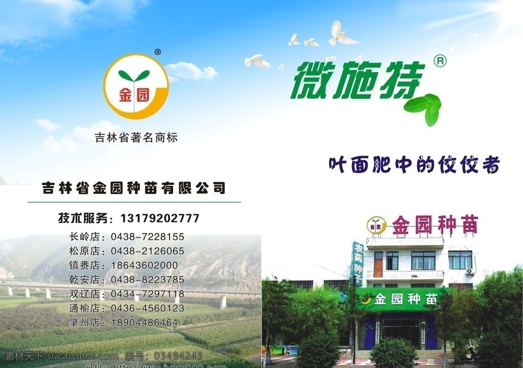 金园 种苗 微 施特 logo 大楼 文字 草地 昆虫 画册设计 矢量