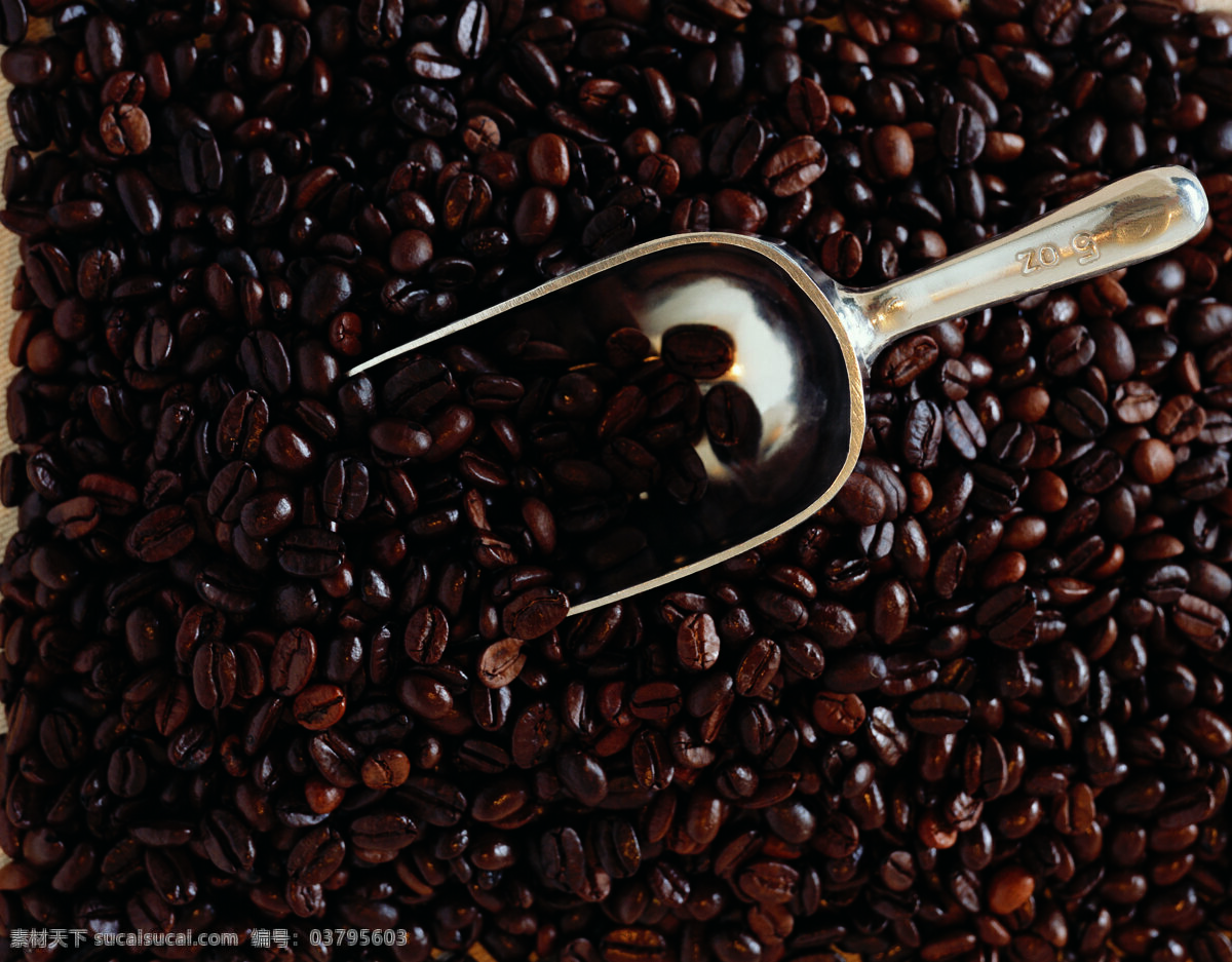 咖啡豆 铲子 咖啡 咖啡文化 coffee 高清图片 咖啡图片 餐饮美食