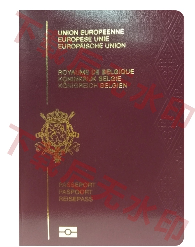 比利时护照 护照 飞机与护照 元素 旅行旅游 行李箱 生活用品 国家 文化 旅游 度假 旅行 通行证 身份 图标 概念 护照素材 护照特写 普通护照 公务护照 因公护照 因私护照 出国 留学 游玩 飞机 港澳台 泰国游 签证 出国签证 出行签证 交通工具 国外护照 各国护照大全 名片卡片