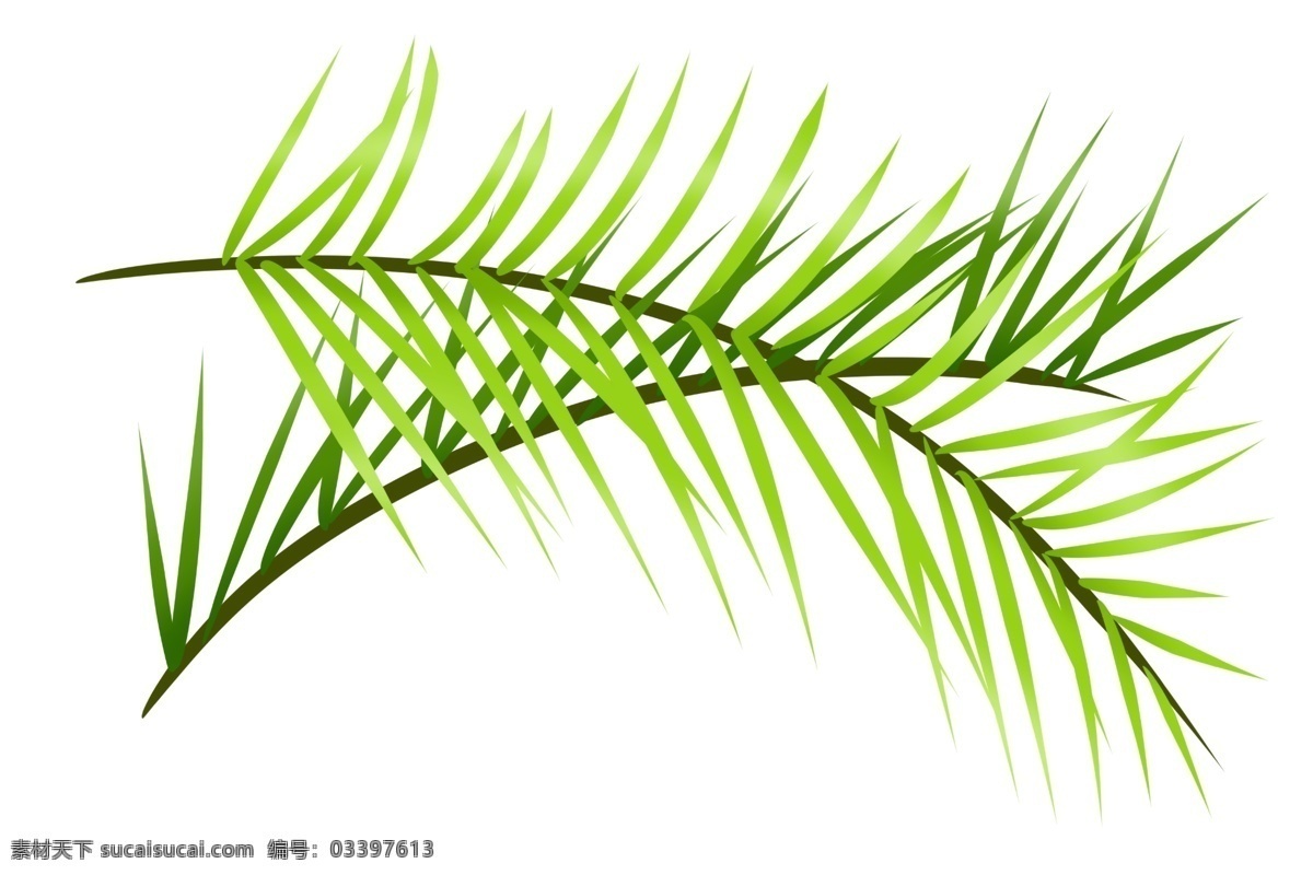 春季叶子装饰 植物 立体 热带