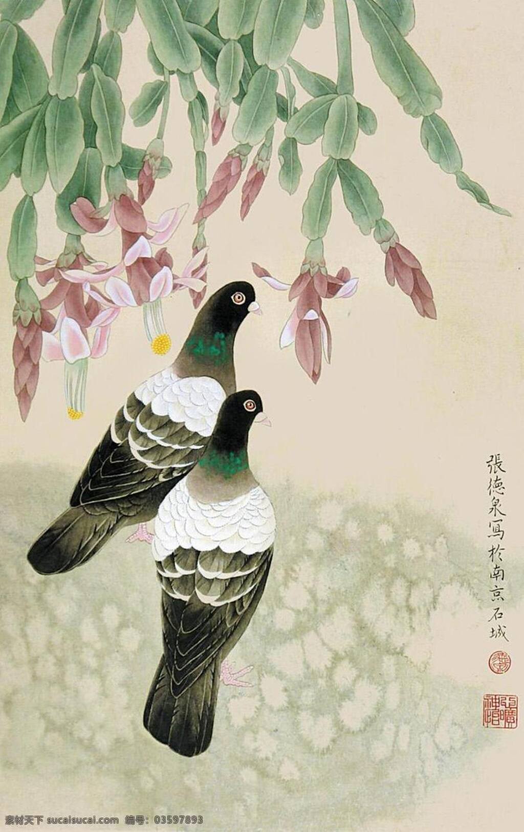 鸽子 中国画 工笔画 花鸟画 张德泉 写生 绘画书法 文化艺术