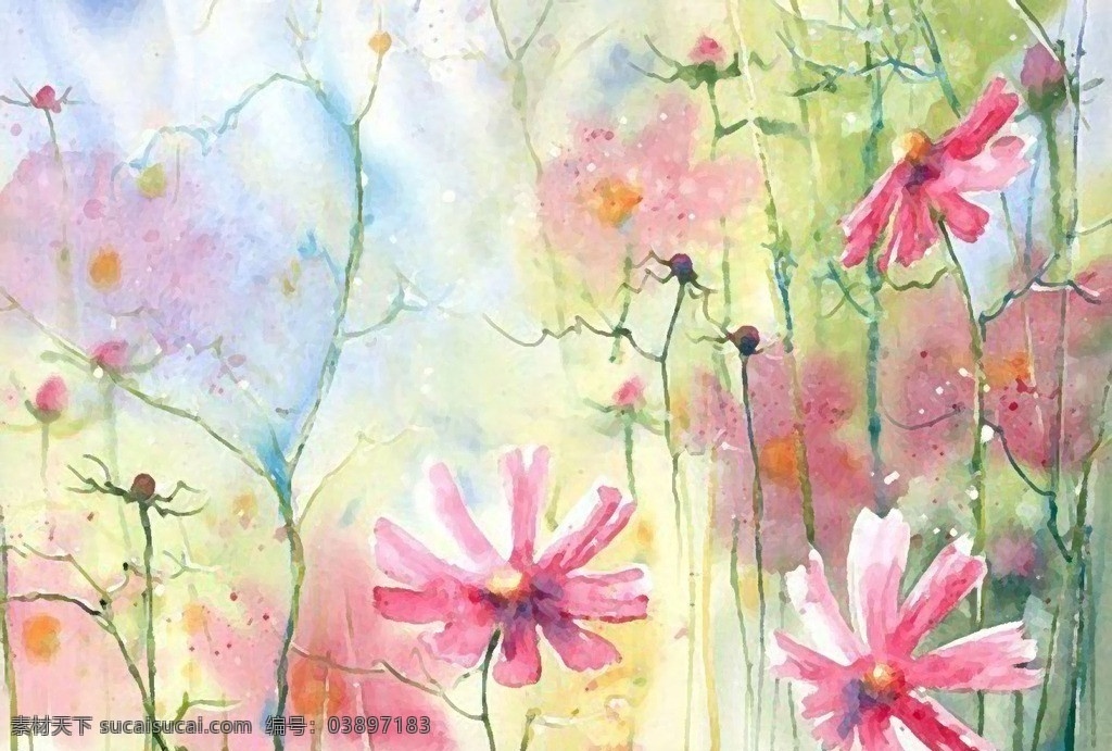 水彩 花卉 花儿朵朵 干笔画 大自然 花蕾 花枝 粉红色 无框画 客厅画 绘画书法 文化艺术