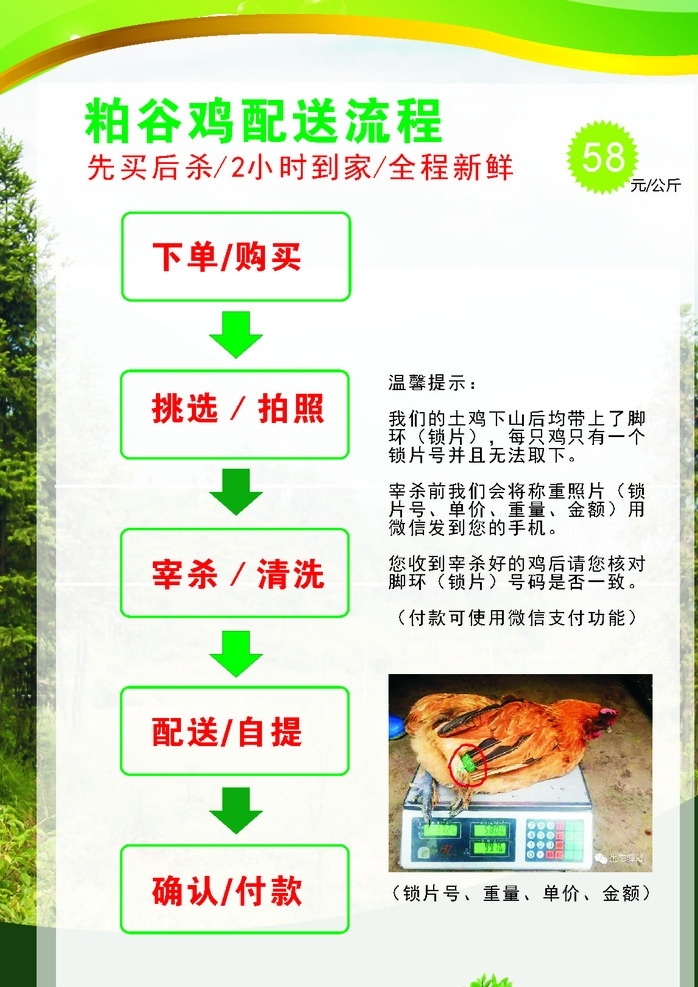 流程图 展板 kt板 配送 土鸡 店铺 食品 外送 展板模板