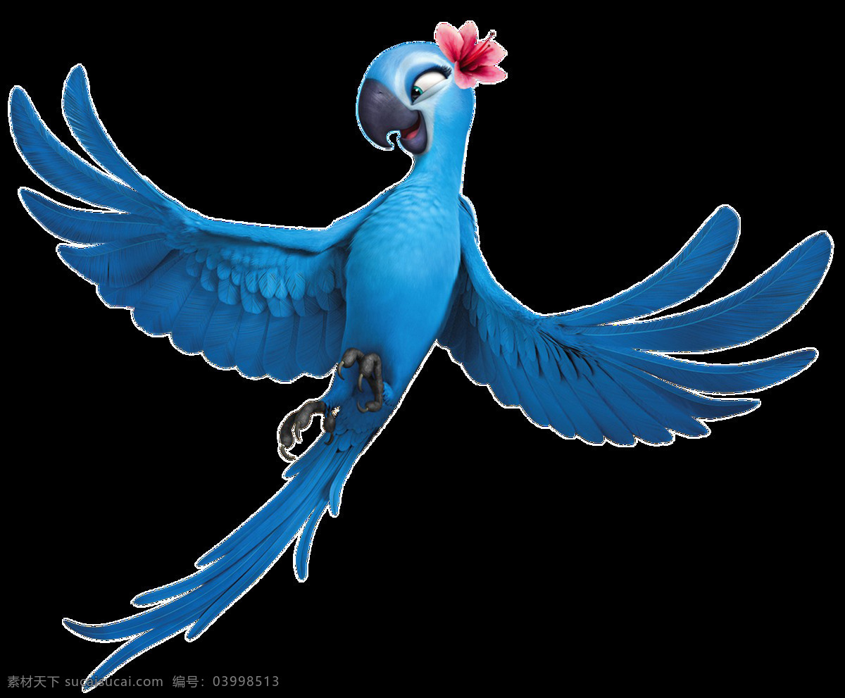 手绘 卡通 鹦鹉 透明 png素材 飞翔 花朵 可爱 蓝色 免扣素材