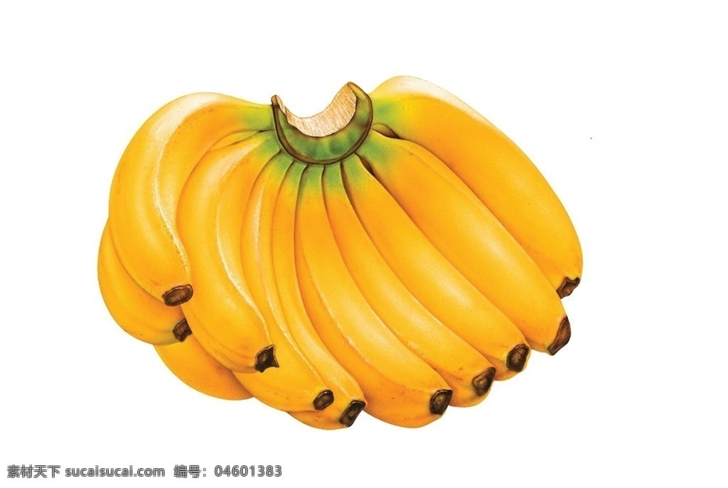香蕉 水果 特写 带水果 美食 进口水果 纤维 黄色 一把香蕉 分层 源文件