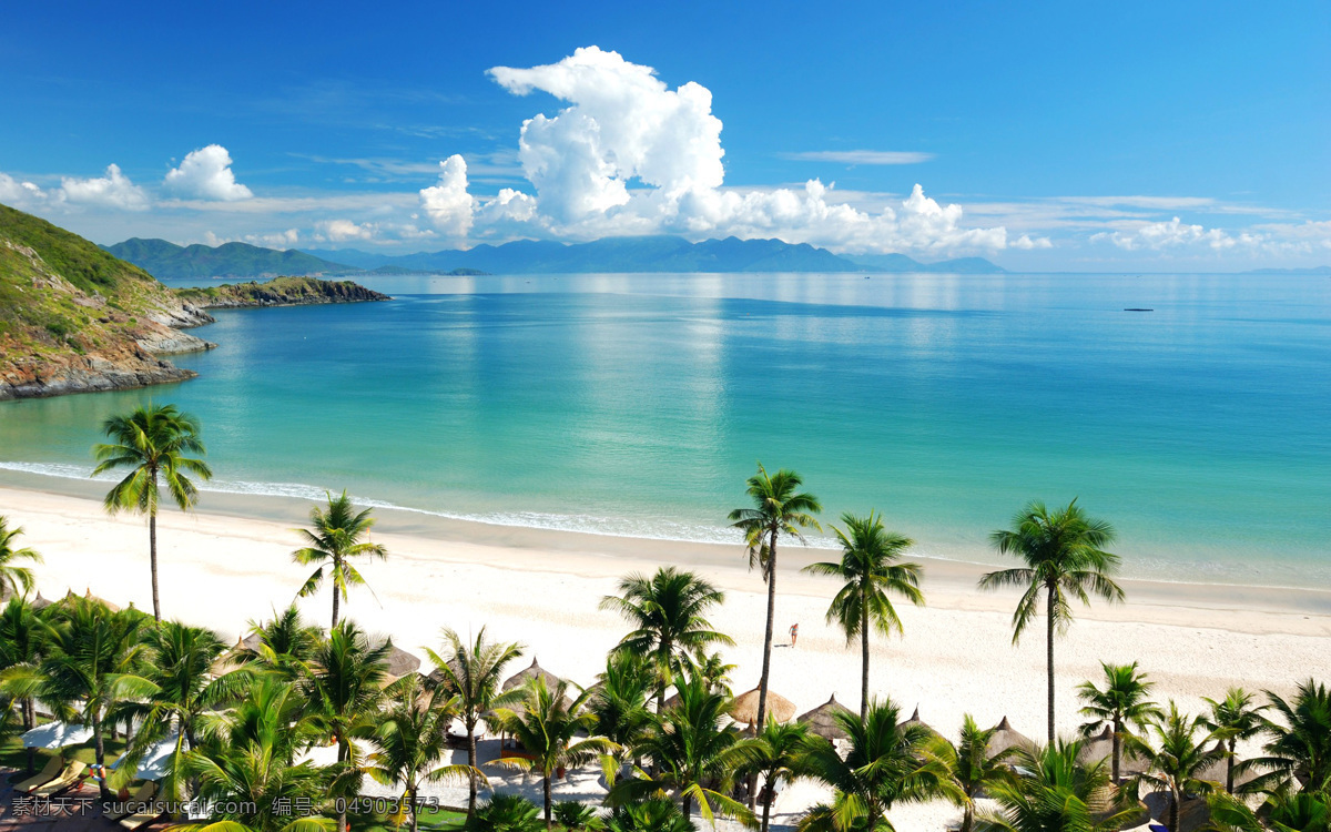 椰树港湾 碧海蓝天 椰树 海滩 蓝天白云 美丽风景 高清 绿树 大海 壁纸 风景 自然景观 自然风景