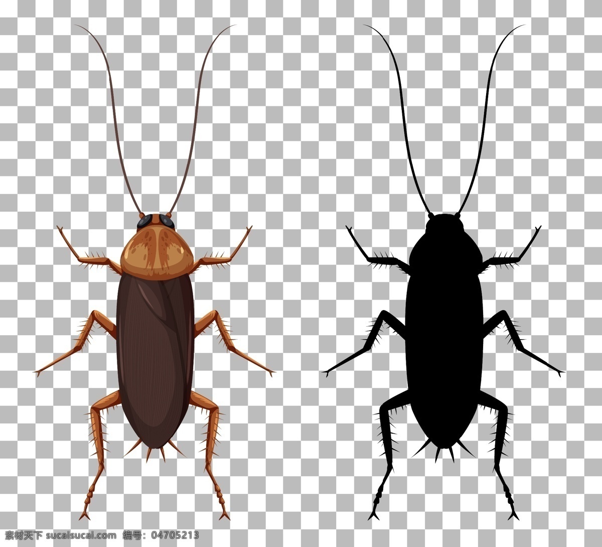 卡通昆虫图片 卡通昆虫 生命周期 进化 退化 演变 虫子 发展 生物 学科 生物世界 昆虫