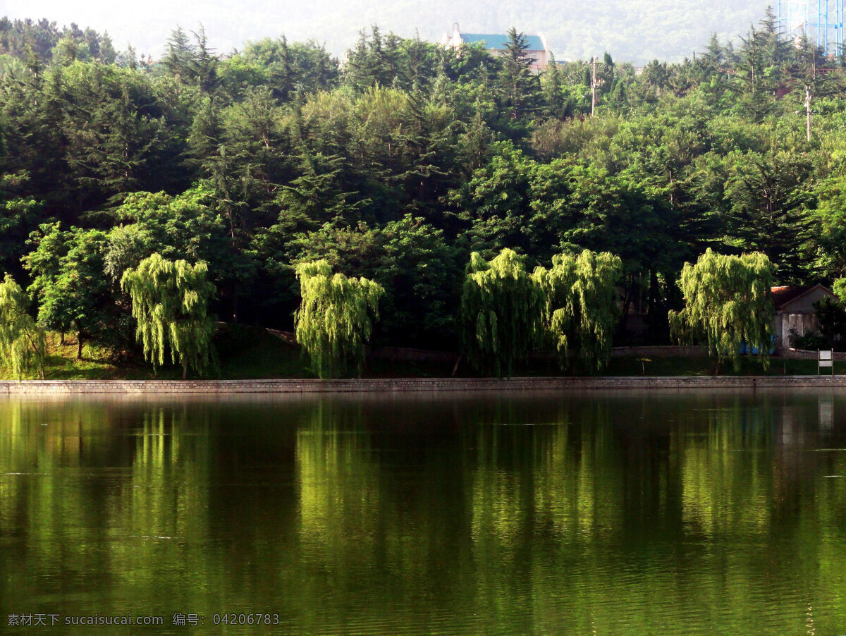 南山公园 湖岸柳树 湖水 石砌湖岸 树木 自然风景 自然景观