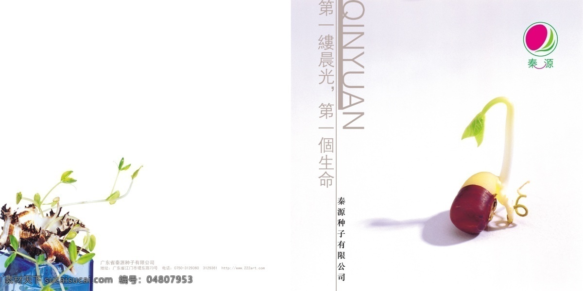 秦 源 种子 画册 封面 广告设计模板 画册设计 源文件库 其他画册封面