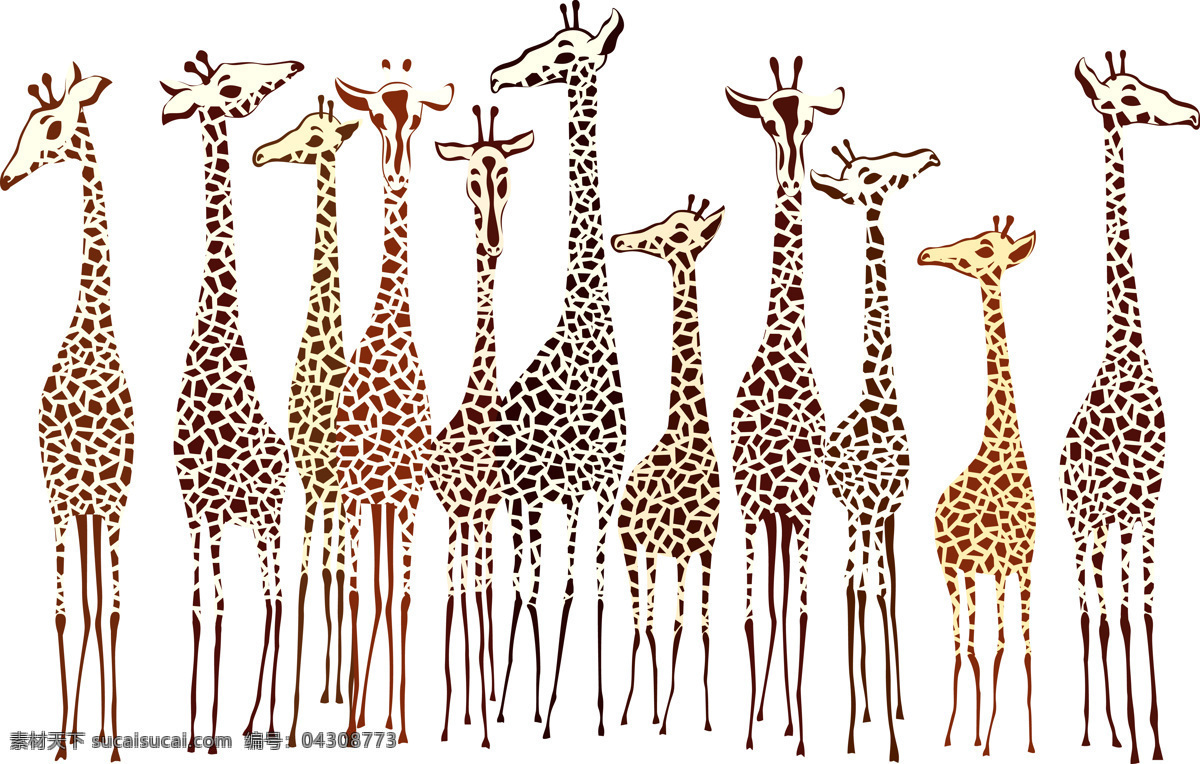 长颈鹿 长颈鹿群 鹿 长脖鹿 草原 绿草 非洲 草原地带 陆生动物 草食动物 动物 生物世界 野生动物
