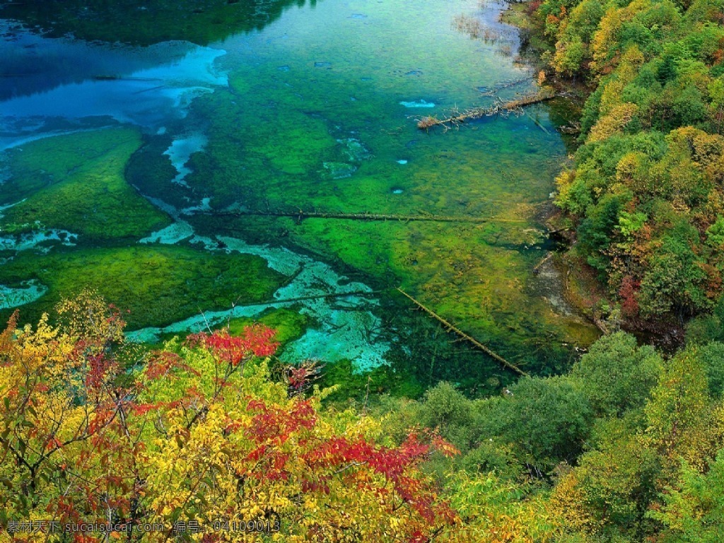 自然景观 草 湖 火烧云 绿色 落日 森林 沙滩 树 水 风景 生活 旅游餐饮