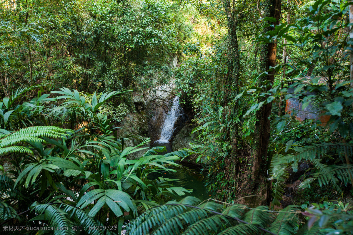 五指山 翡翠山城 热带雨林 海南岛 海南省 自然景观 树木 树林 天空 旅游摄影 国内旅游