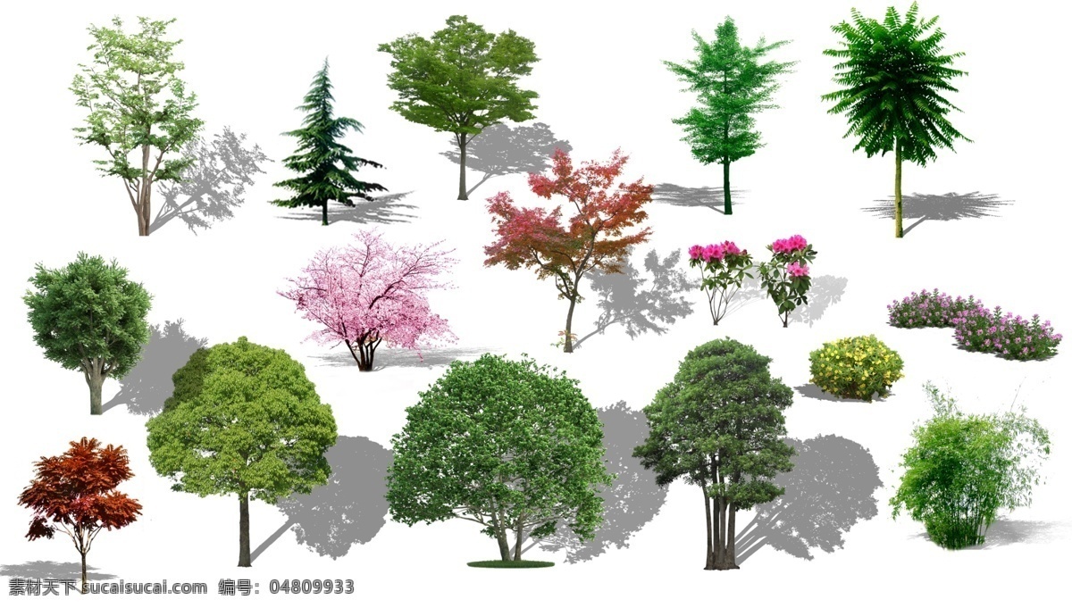 植物 树木 植物素材 乔木 绿色植物 绿叶 开花植物 苗木 自然景观 建筑园林 园林设计 分层 环境设计