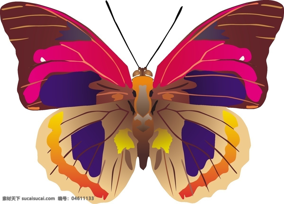 印花 矢量图 动物 服装图案 蝴蝶 色彩 五颜六色 印花矢量图 面料图库 服装设计 图案花型