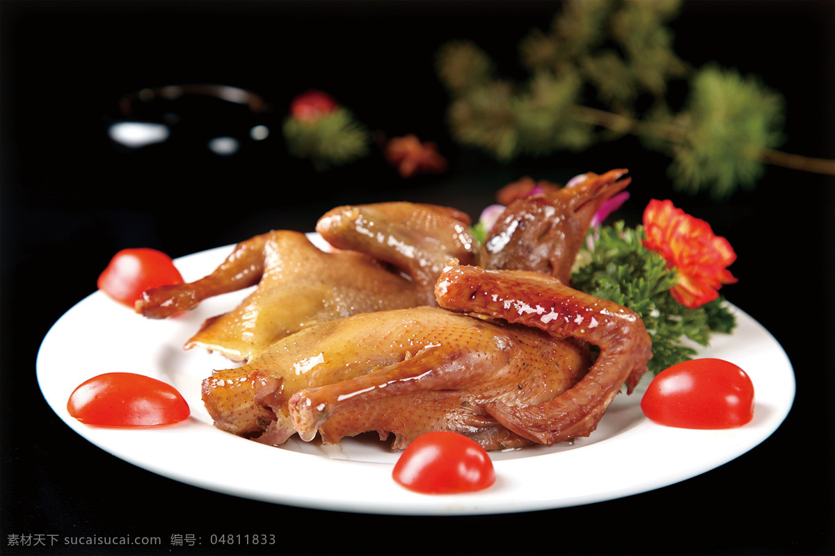 卤水乳鸽 美食 传统美食 餐饮美食 高清菜谱用图
