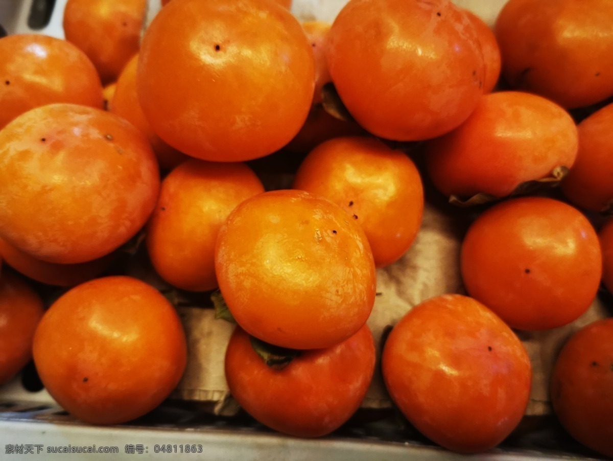 静物柿子 红柿子 秋天的果实 成熟的柿子 水果 软柿子 摄影图片