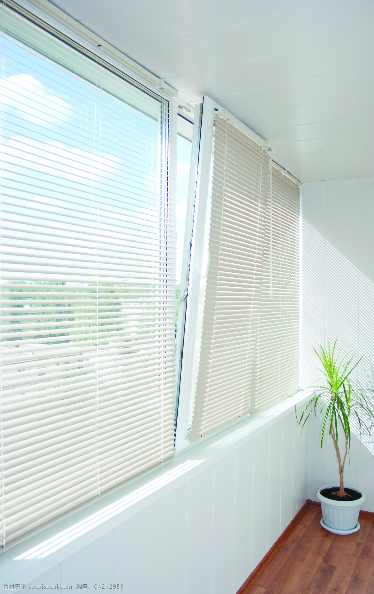 室内 百叶窗 客厅 窗户 窗口 地板 花 盆景 室内设计 环境家居 白色